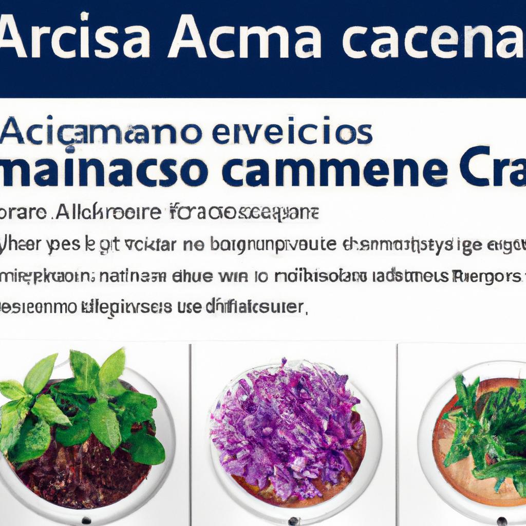 Descrição das Plantas Aromáticas mais Adequadas para Cultivo em Estufas